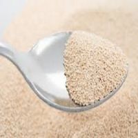 Wholesale Dry Yeast For Sale
