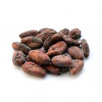 Quality Wholesale Fresh Cocoa Beans