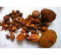 Cattle Gallstones and Cow Gallstones for sale