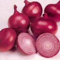 competitive Fresh Red Onions For Sale