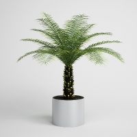 Artificial Canary Date Palm Tree for sale