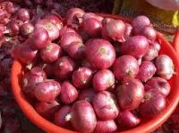Red Onions For Sale