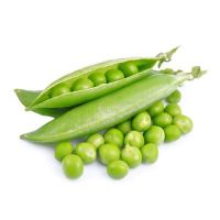 Big size Faba beans export broad beans for sale