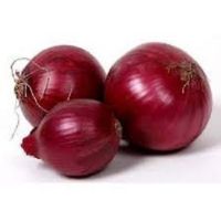 Fresh Red Onions For Sale