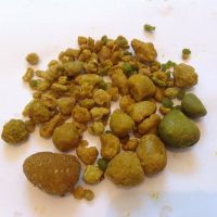 ox gallstones cattle gallstones cow gallstones for sale