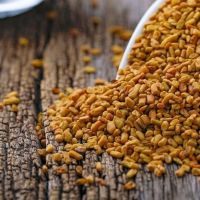 Organic Fenugreek Seeds / Powder Extract