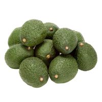 Hot Sale Fresh Fuerte Avocado Hass in South Africa Mozambique Zambia Malawi