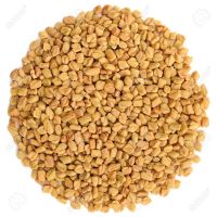 Natural Extract Funegreek Seed / Fenugreek Powder / Funegreek oil