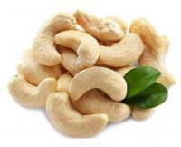 Cashew Nuts for sale