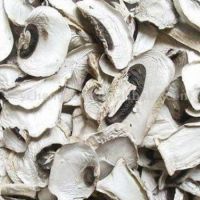 Dried Mushroom for sale