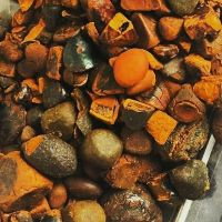 Hot Sale Quality Cow Gallstones in South Africa