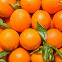 Sweet Valencia / Seville / Navel Orange