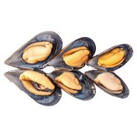 Cheap Price Mussel For Sale