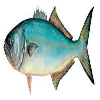 Competitive Price Blue Fish For Sale