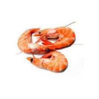 Hot Sale Fresh Shrimps in South Africa For Sale