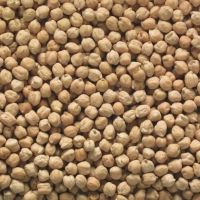 Desi Chickpeas for sale