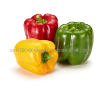 Hotsale Fresh Capsicum Yellow Red Green