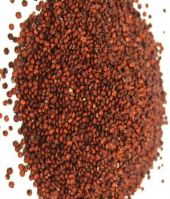 Organic Whole Red Quinoa for sale