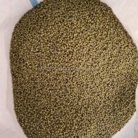 High Quality Green Mung Beans