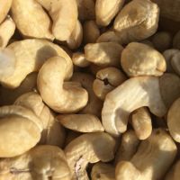 Bulk Cheap Raw Cashew Nut Size W180 W240 W320 W450