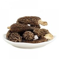 Bulk Organic Dried Morel Mushrooms