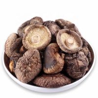 Shiitake Mushrooms wholesale