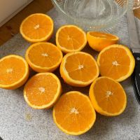 r Fresh Orange Fruit Wholesale Valencia Navel Orange for sale