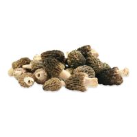 Bulk Organic Dried Morel Mushrooms