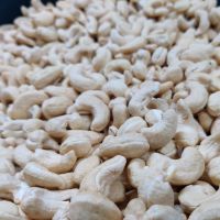 Raw Cashew Nut Size W180 W240 W320 W450