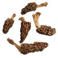 Bulk Organic Dried Morel Mushrooms