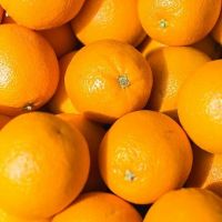 Low Best Price For Fresh Orange Fruit Wholesale Valencia Navel Orange