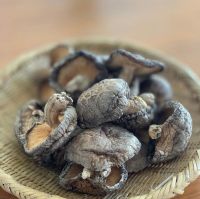 Natural Dried Organic Shiitake Mushrooms wholesale