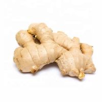 100% Pure Fresh Organic Ginger