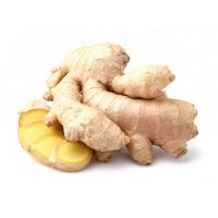 Fresh Organic Ginger for sale