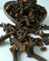 CLOVES