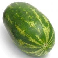 High quality organic fresh watermelon