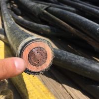 Quality Copper Wire Scrap/Millberry 99.95% to 99.99% Available for sale