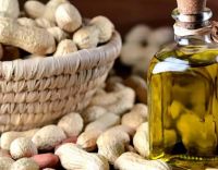 High quality refined Peanuts oil/ Groundnuts Oil for sale