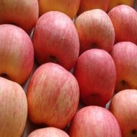 Export Quality Fresh Fuji Apples For Cheap Price