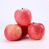 Best Price Fresh Fuji Apples For Sale