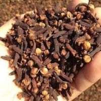 Top Supplier Dried Cloves For Sale