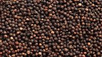 High Quality Dried Black Pepper For Sale