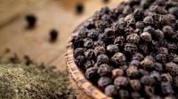 High Quality Dried Black Pepper For Sale