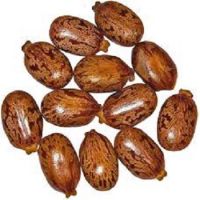 High Germination Castor Seeds For Sale