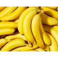 Hot Sale Cheap Bulk Fresh Bananas For Sale