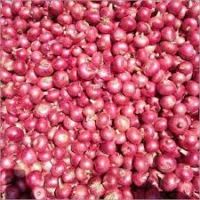 Good Quality Fresh Red Onions For Sale