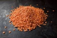 Hot Sale Split Lentils For Sale