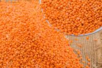 High Quality Split Lentils For Cheap Price