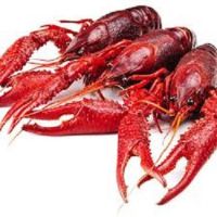 Frozen Crayfish For Sale