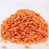 High Quality Split Lentils For Cheap Price